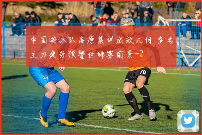 中国游泳队高原集训成效几何 多名主力疲劳预警世锦赛前景